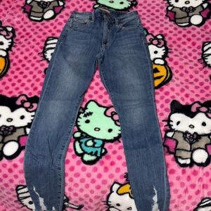 Joe's Jeans Women's Skinny Blue Jeans